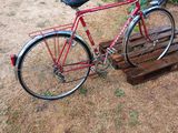 a red bike that is parked on a wooden platform
