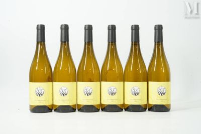six bouteilles de vin blanc sont alignées