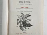 an old book with a picture of a plant on it
