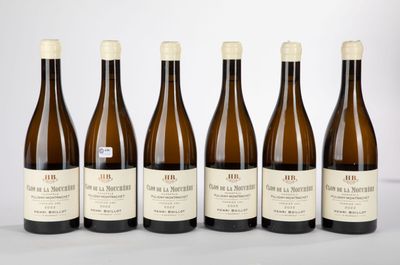 six bouteilles de vin sont alignées sur une surface blanche