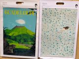 two posters on the wall of a store