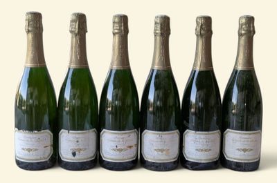 six bottles of champagne lined up in a row on a white surface