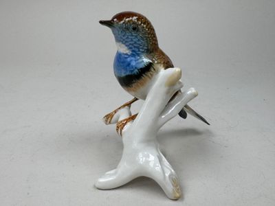 a small blue and brown bird sitting on top of a branch