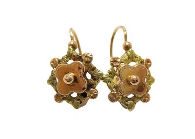 une paire de boucles d'oreilles dorées ornées de fleurs et de feuilles