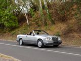 a car that is driving down the road in the woods