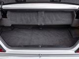 a trunk of a car with its trunk open