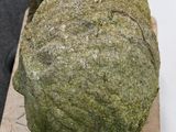 a sculpture of a frog made out of moss on a wooden board