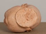 a small vase that has a piece of fruit inside of it
