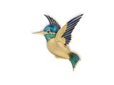 a bird that is flying in the air with its wings spread