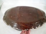 a person holding a chocolate cake in their hand