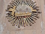 a gold brooch with a stone in the middle of it