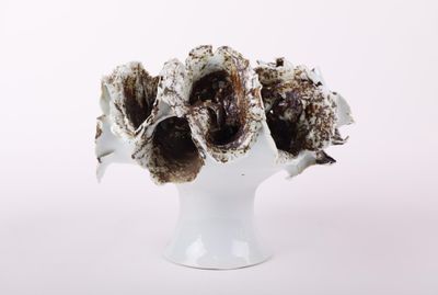 un vase blanc contenant un bouquet d'huîtres