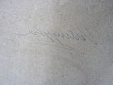 a close up of a handwriting on a piece of paper