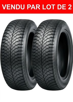 2 pneus d'hiver Goodyear Ultragrip, dimensions 205/55 R16