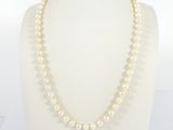 a white pearl necklace on a mannequin neck