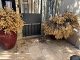 deux jardinières posées à l'extérieur d'un immeuble