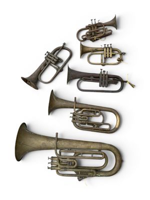 de nombreux instruments de musique de toutes sortes alignés sur une surface blanche