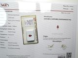 une photo d'un certificat sur lequel figure un losange rouge