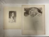 Deux dessins représentant une femme et un hibou sont posés sur une table