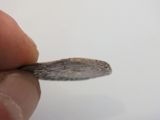 a small piece of silver in the middle of a finger