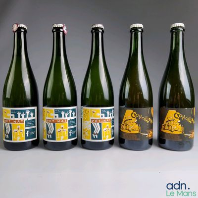 six bottles of beer are lined up in a row