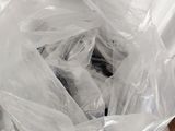 someone is holding a plastic bag with a cat inside of it