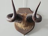 a picture of a wall mounted animal head on a wall