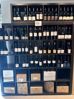 Des bouteilles de vin sont exposées dans un caviste.
