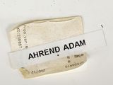 Photo 12/13 du lot