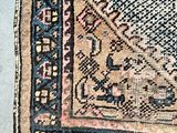 a cat that is sitting on a rug on the floor