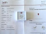 un document sur lequel figure l'image d'un diamant rouge