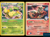 two pokemon cards with a picture of a cat and a dog on them