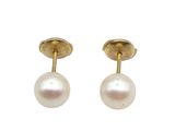 a pair of pearl earrings on a white background