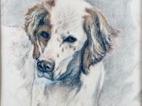 painting of a brown and white dog in a brown frame