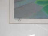 a picture of a picture of a flower on the wall