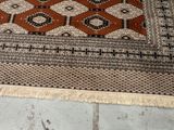 a cat that is sitting on a rug on the floor