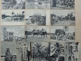 de nombreuses photos de personnes et d'animaux accrochées au mur