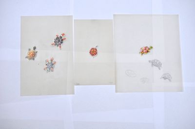 Lot de 3 gouachés sur calque sur le thème animalier : tortue. - Photo 1