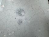 a close up of a white bowl with black spots on it