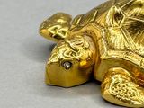 une tortue dorée allongée par terre