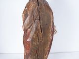 an image of a wooden sculpture of a bird on a white surface