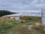 de nombreuses serres situées dans un champ par temps nuageux