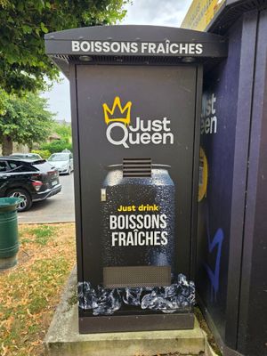 une poubelle posée au bord de la rue