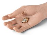a person holding a gold and diamond ring in their hand