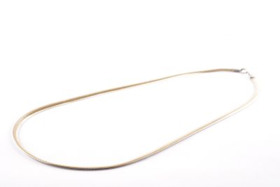 Collier plaqué argent sur fond blanc, avec un fond blanc