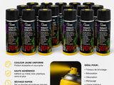 lot de 13 bombes de peinture