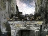 de nombreux crânes posés sur la cheminée
