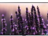 La télévision est posée sur une table ornée de fleurs violettes.