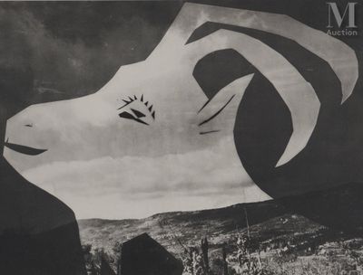 une photo en noir et blanc d'une chèvre sur laquelle on a dessiné un visage