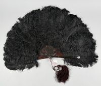 Plumes noires, Europe, vers 1890-1900 (photo 3)